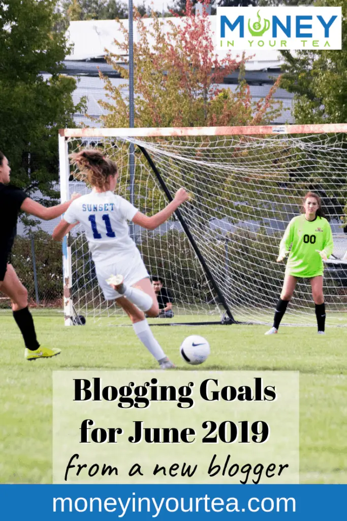 Blogging goals and income report May 2019
.
#personalfinanceblog #personalfinance #discount #startablog #makemoney #goals #blog #tips