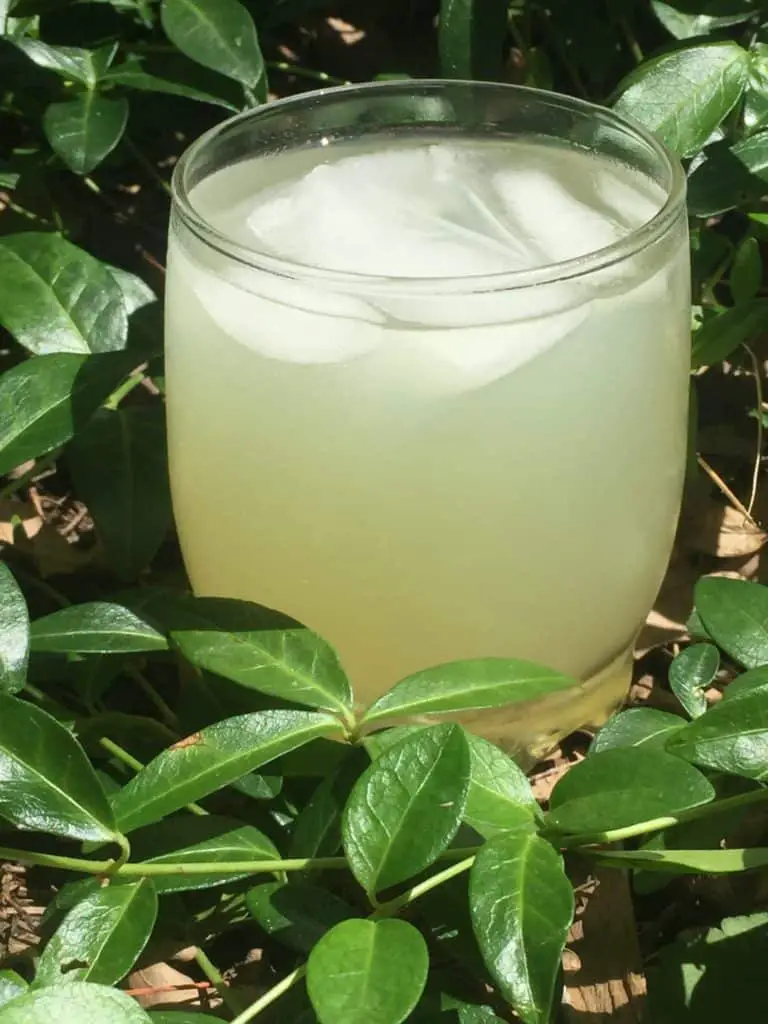 Summertime lemonade recipe from moneyinyourtea.com