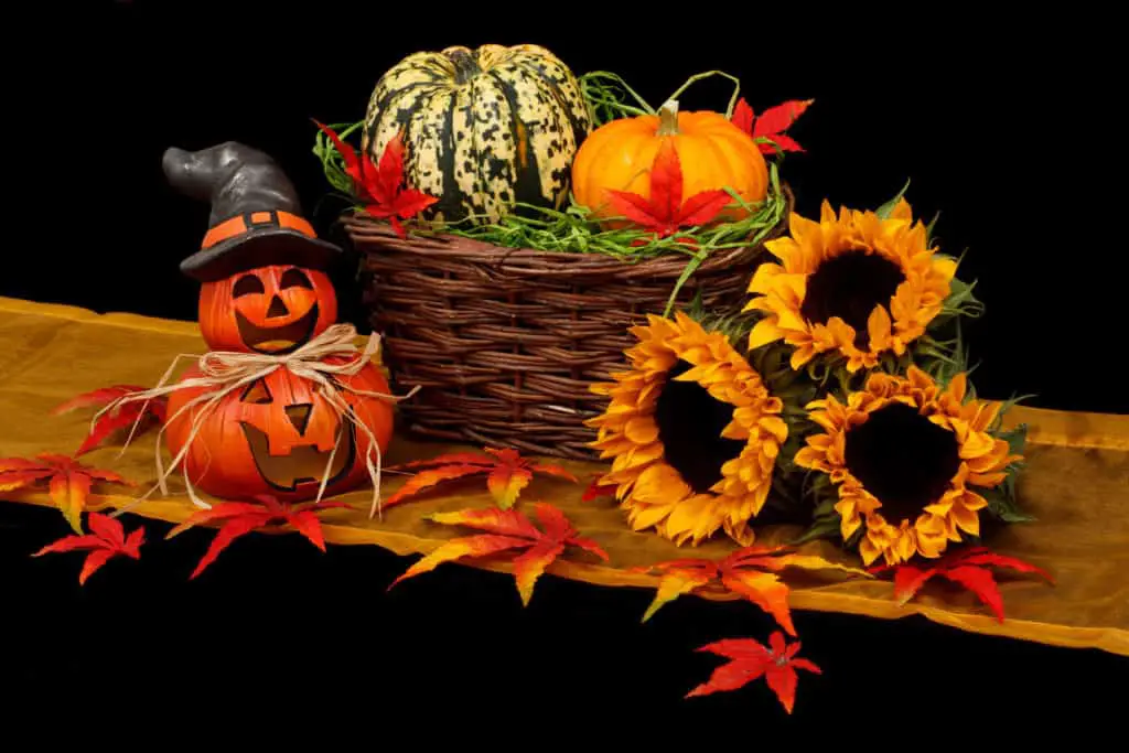 Halloween on a budget with tiny jack-o-lanterns, a basket of gourds, and fall flowers