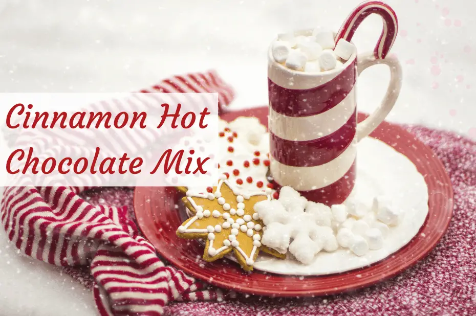 Cinnamon hot chocolate mix
